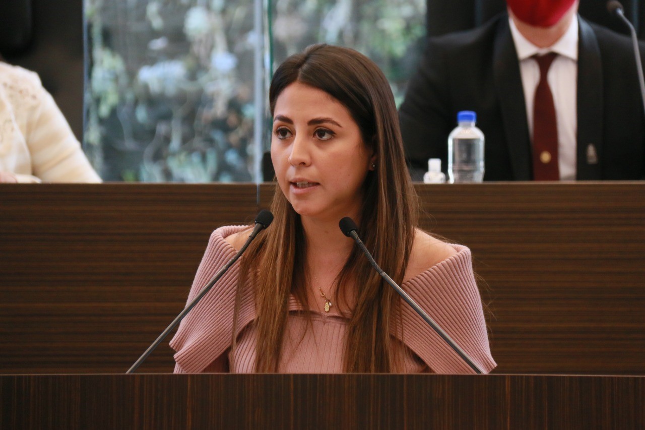 Diputada Daniela Salgado M Rquez Como Legisladora Siempre Voy A Anteponer La Dignidad Y La