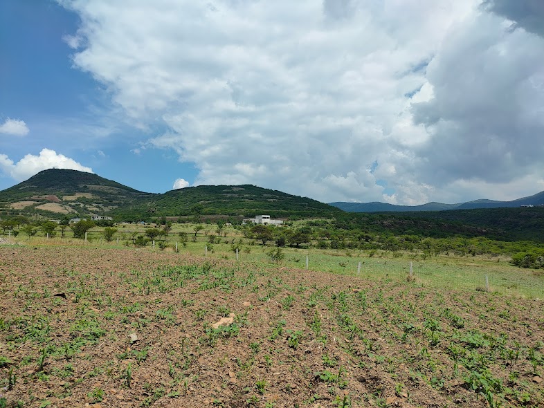 Municipio de Querétaro busca proteger 60 hectáreas como áreas naturales