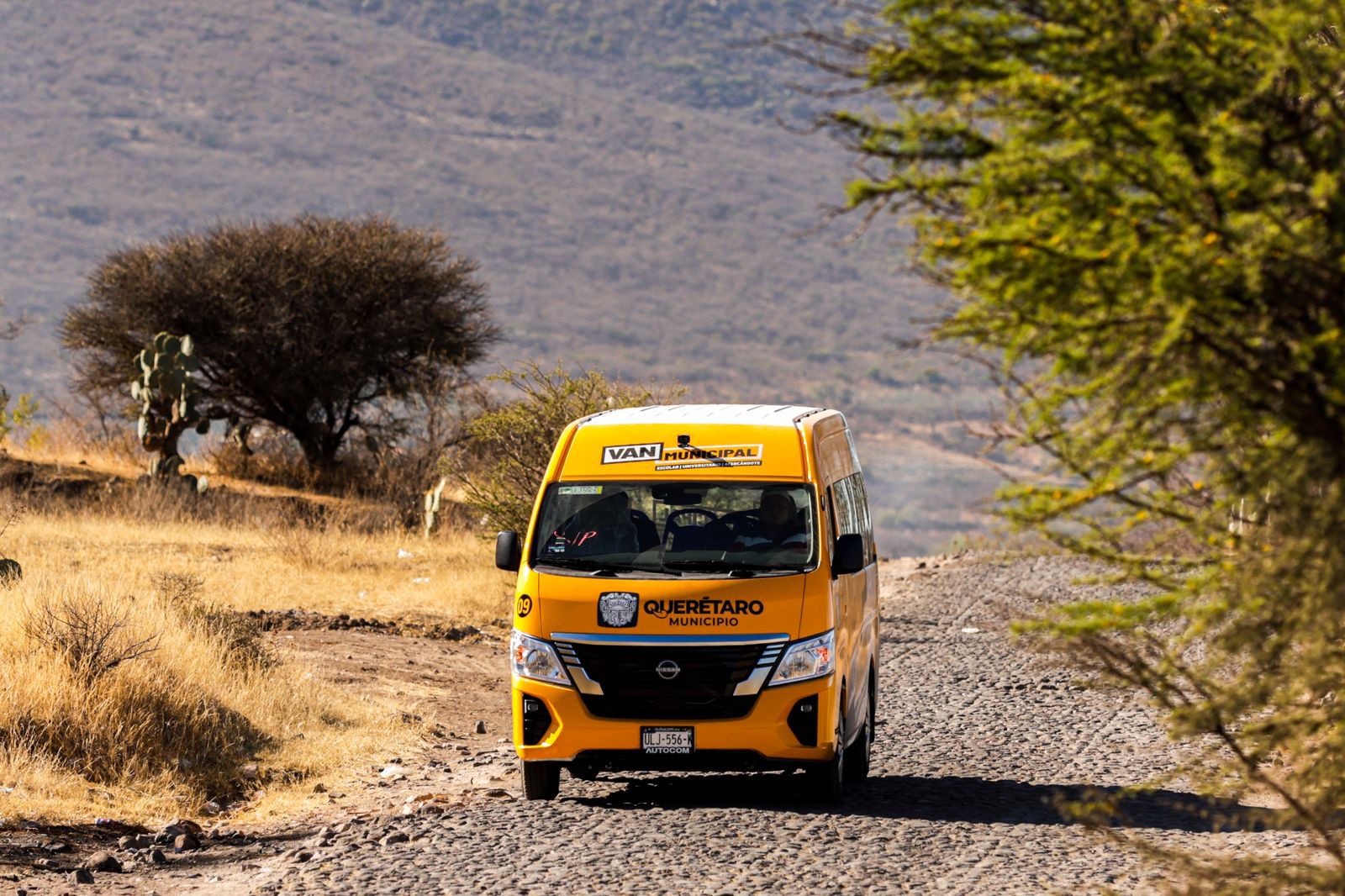 Transporte Nocturno recibe 500 solicitudes en plataforma Bus Municipal
