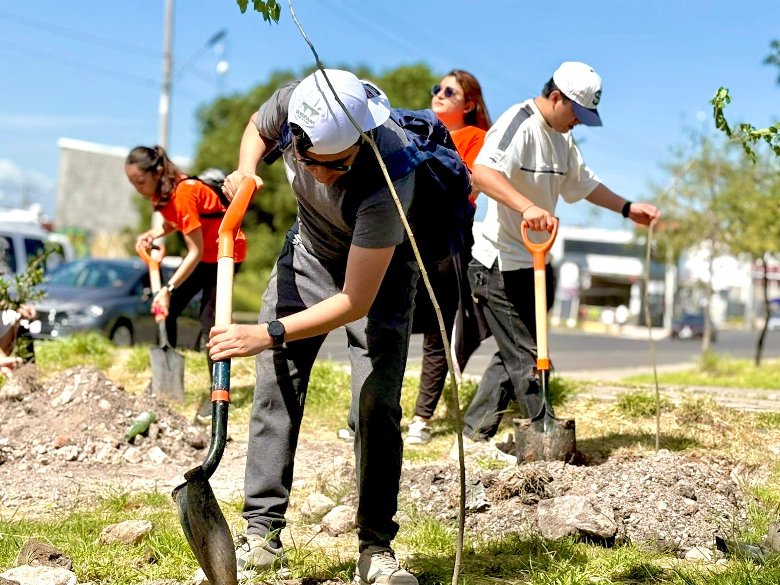 Llevan campaña de reforestación a colonias de Querétaro