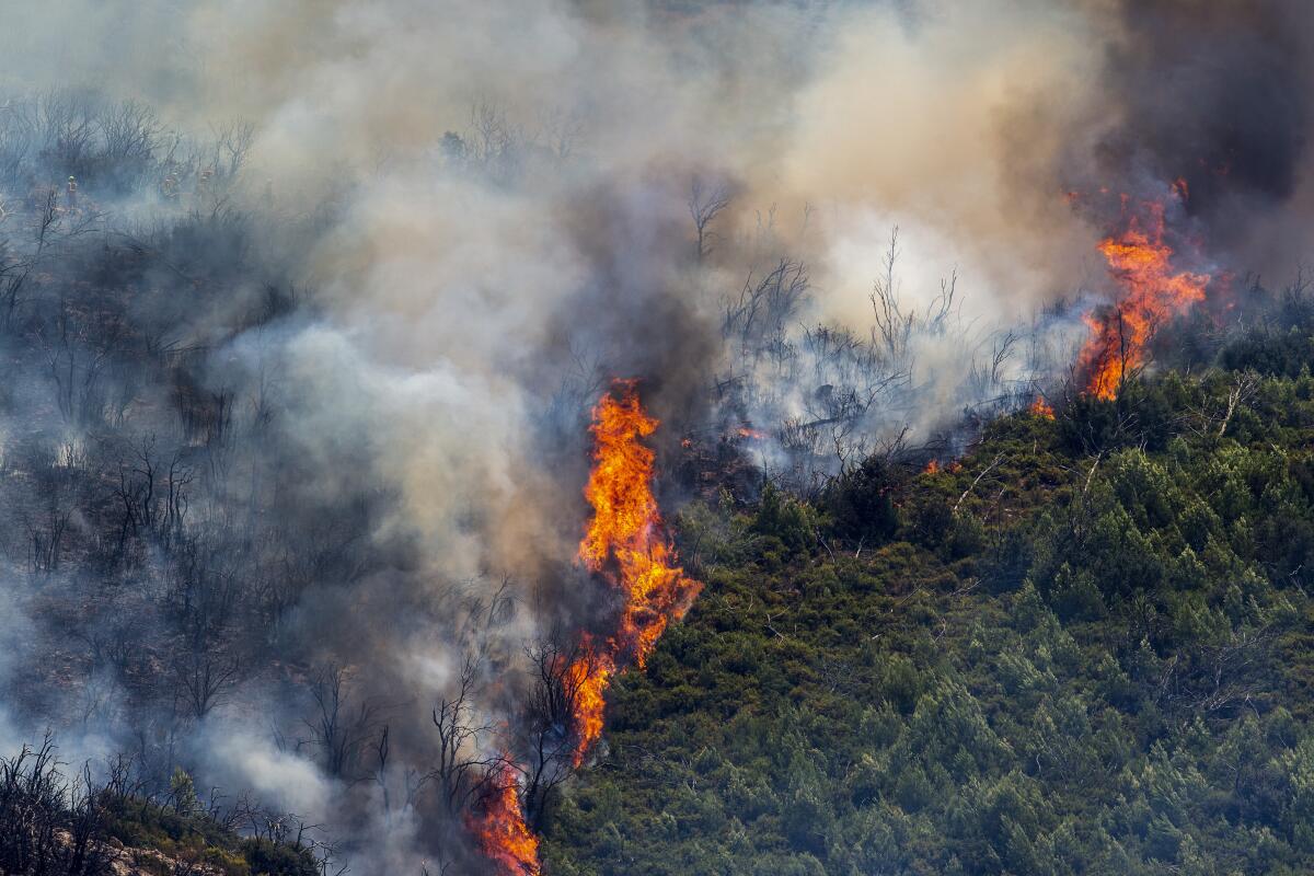 Querétaro define zonas de riesgo y capacita a colonias por temporada de incendios