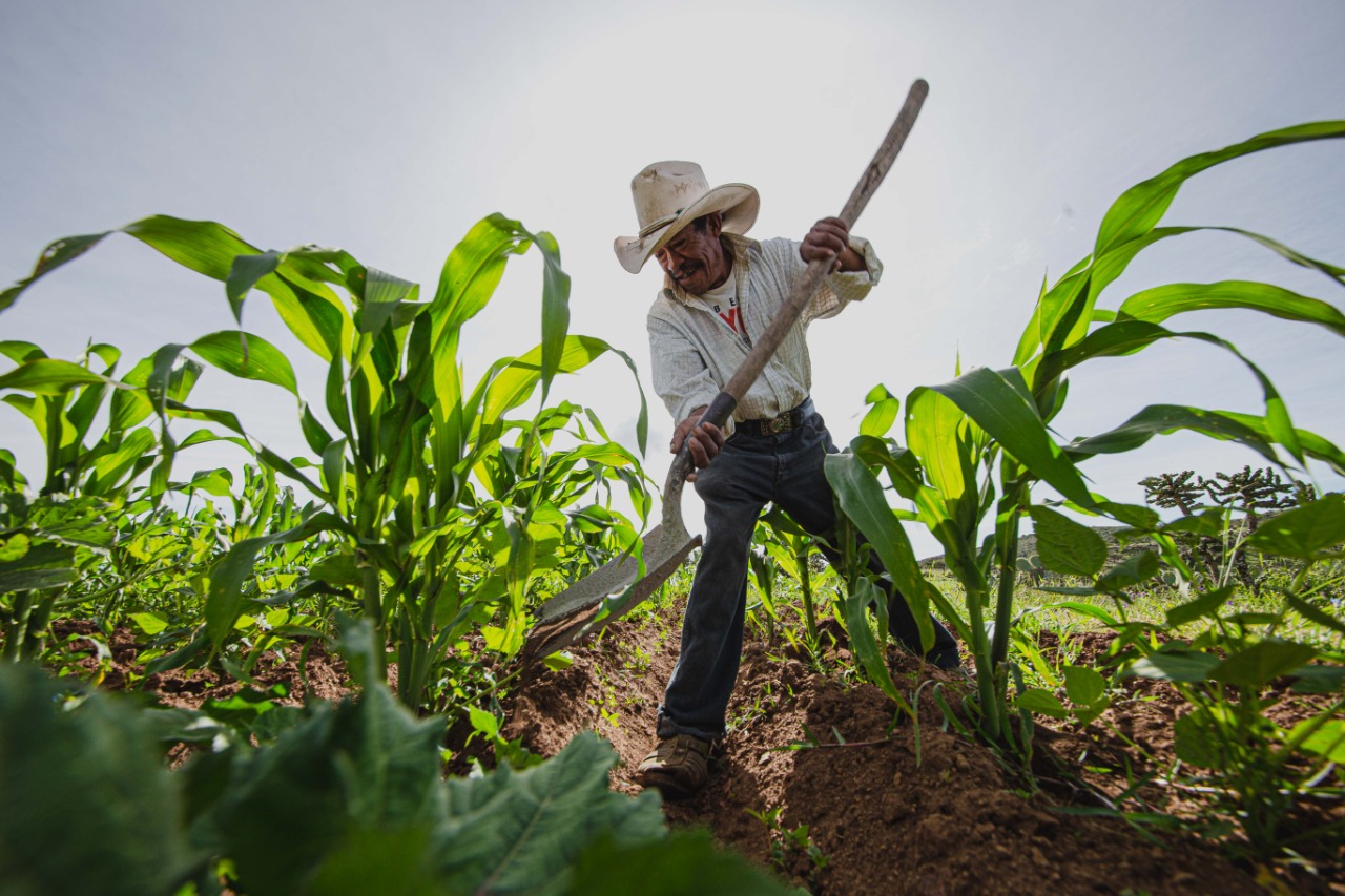 Agricultores de Querétaro reciben apoyo por 3 millones de pesos
