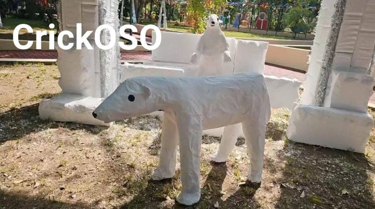 😂🐻 ¡El Oso Crickoso se volvió la sensación (y meme) de Tepic! 🙈