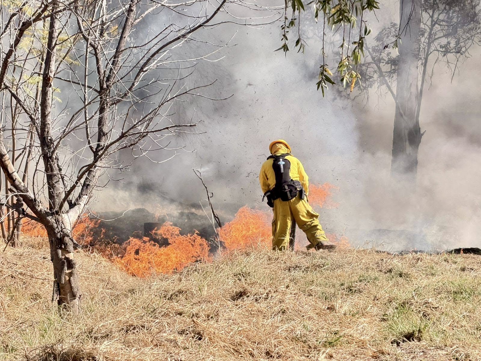 Incendios en Corregidora afectan lotes baldíos; van 170 este año