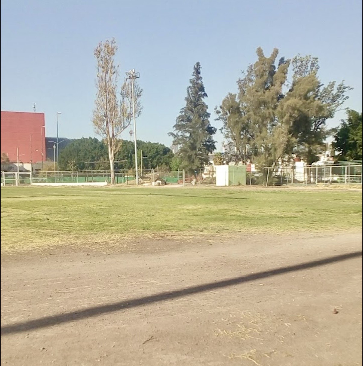 Construyen nuevo campo de beisbol en unidad deportiva de Querétaro; estará listo en julio
