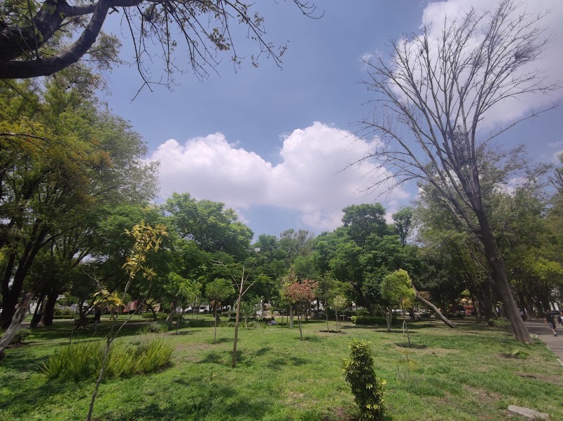 Municipio interviene con poda y mantenimiento en el parque de Jardines de la Hacienda