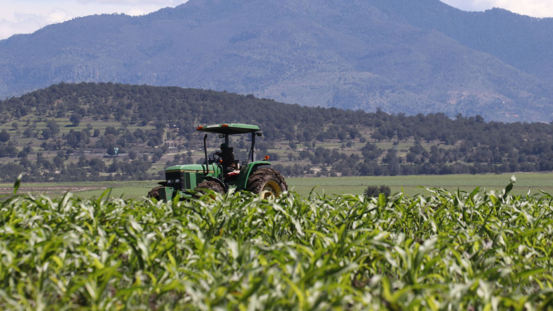 Presas de El Marqués se mantienen al 75 por ciento previo a temporada de lluvias