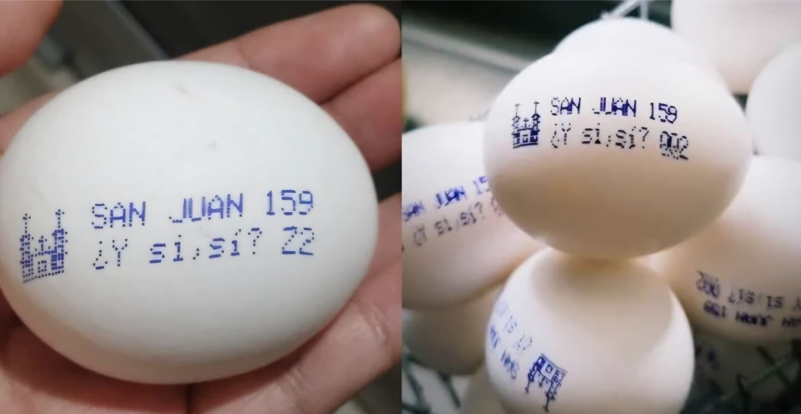 🥚🇲🇽⚽ ¡El Mundial 2026 también se juega en la creatividad!