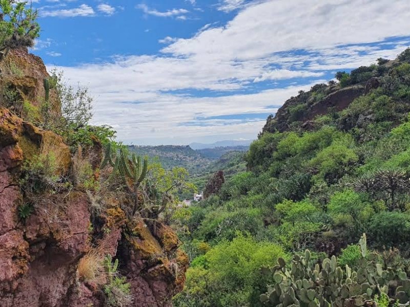 Sancionan a propietario de predio en Cerro Colorado por limpiar terreno sin permiso