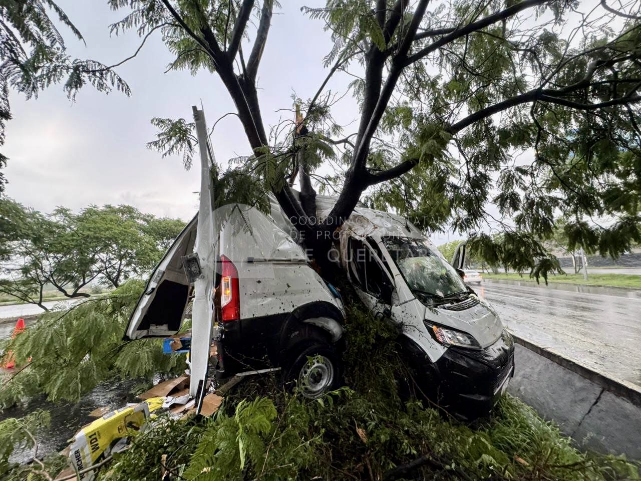 Camioneta choca contra un árbol en Paseo de la República; conductor es hospitalizado