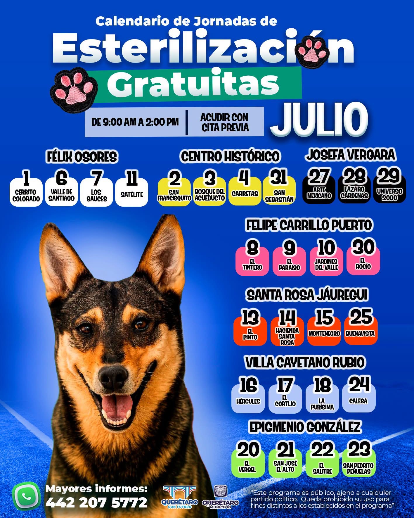 Invitan a agendar cita para las jornadas gratuitas de esterilización en Querétaro