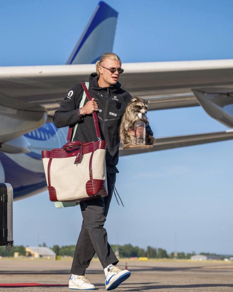 HAALAND VOLVIÓ A NORUEGA TRAS EL MUNDIAL CARGANDO ¡UN MAPACHE!