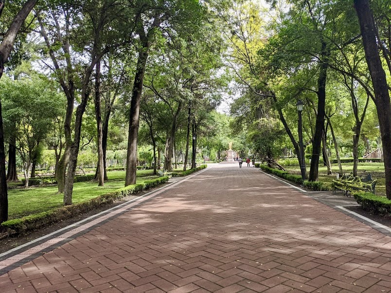 Botón Verde llega a la app Ciudad Qro para recibir denuncias ambientales
