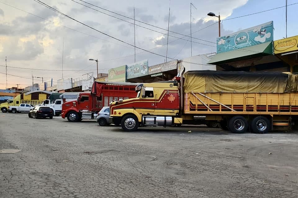 Credencialización del Mercado de Abastos alcanza 90% de avance