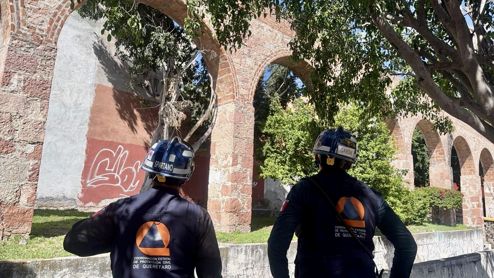 PC activa revisiones de arbolado en Querétaro; atienden cuatro reportes