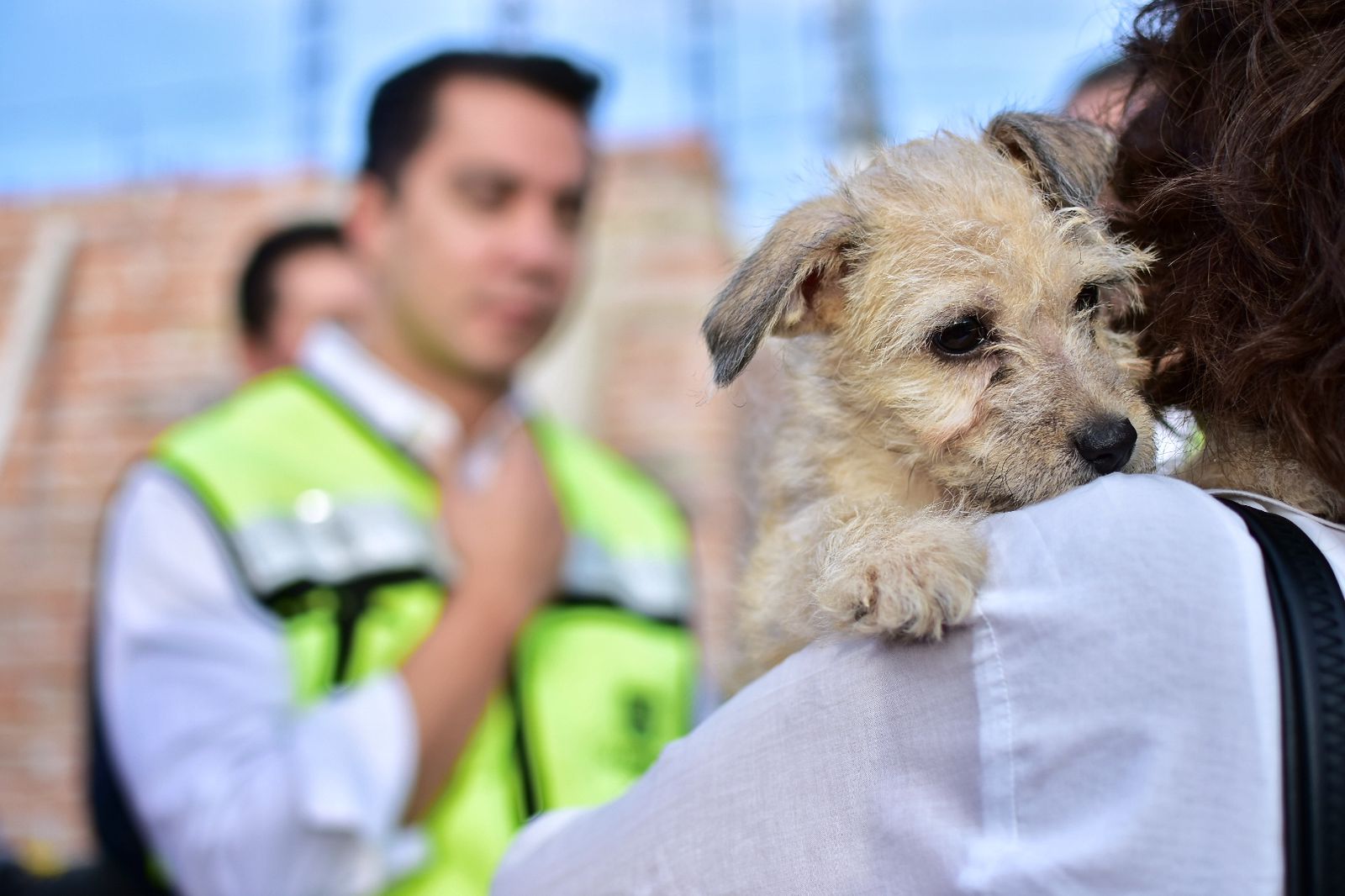 Felifer Macías alerta por presuntas extorsiones a nombre de Bienestar Animal