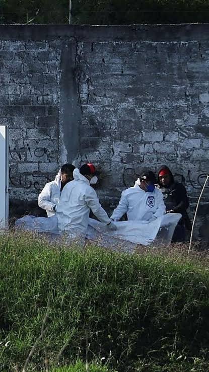 🚨 Tragedia en Morelos: Asesinan a estudiante española de intercambio en México 🇪🇸🇲🇽