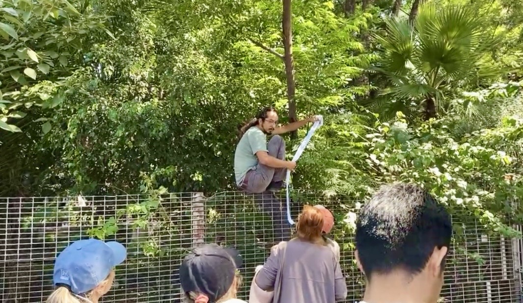“Telar Verde” busca registrar árboles del Parque Alcanfores ante obras ferroviarias