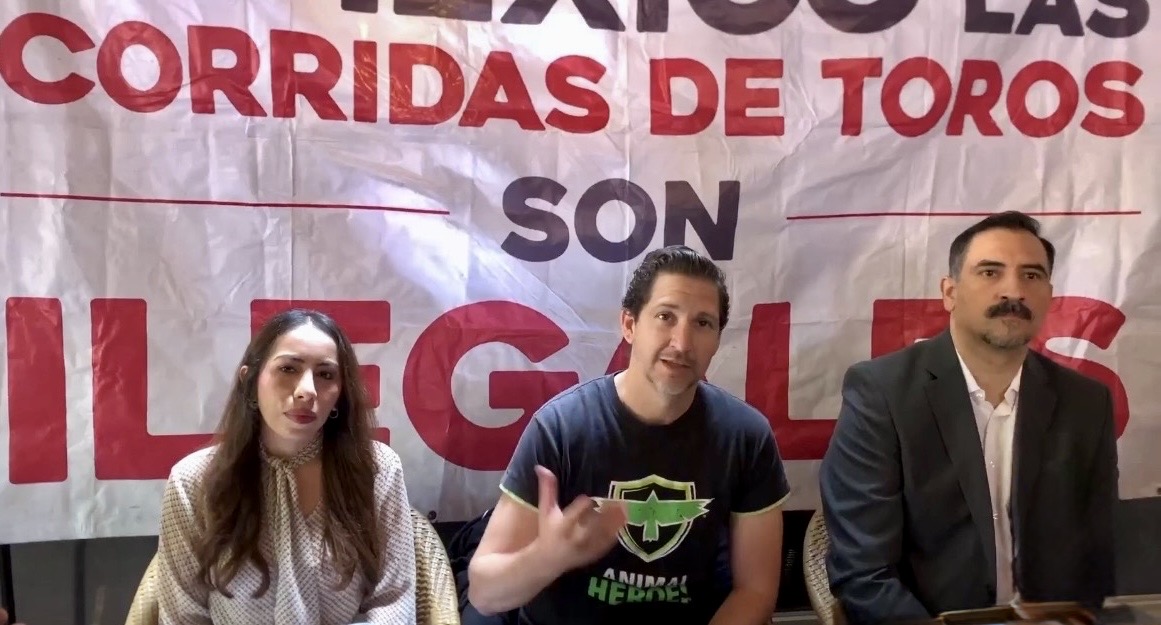 Denuncian agresiones contra activistas contra corridas de toros en Querétaro 