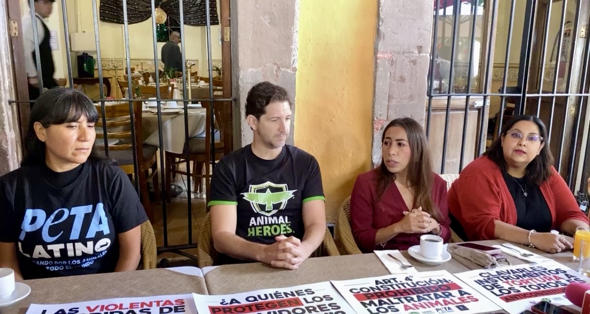 Animalistas presentarán iniciativa para modificar reglamento de espectáculos en Querétaro
