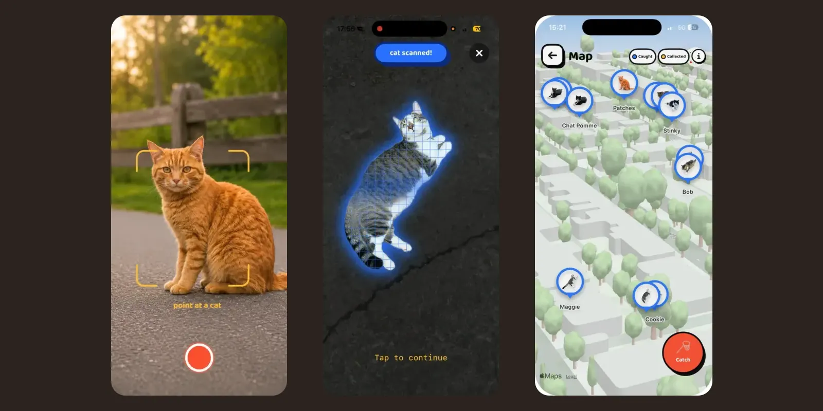 🐱 ¡Como Pokémon Go, pero con gatitos! Lanzan la aplicación “Cat Collector” 📱