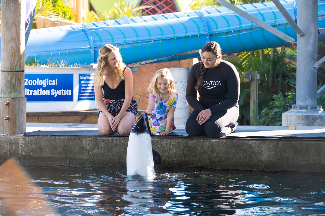 🐬💙 Seaworld Orlando y Aquatica renuevan su certificación de bienestar animal