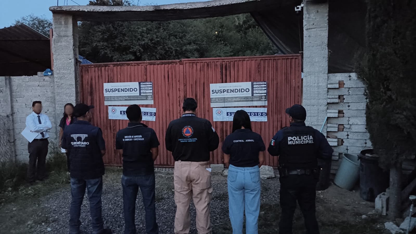Resguardan a 28 perros tras operativo en una pensión de animales en Juriquilla