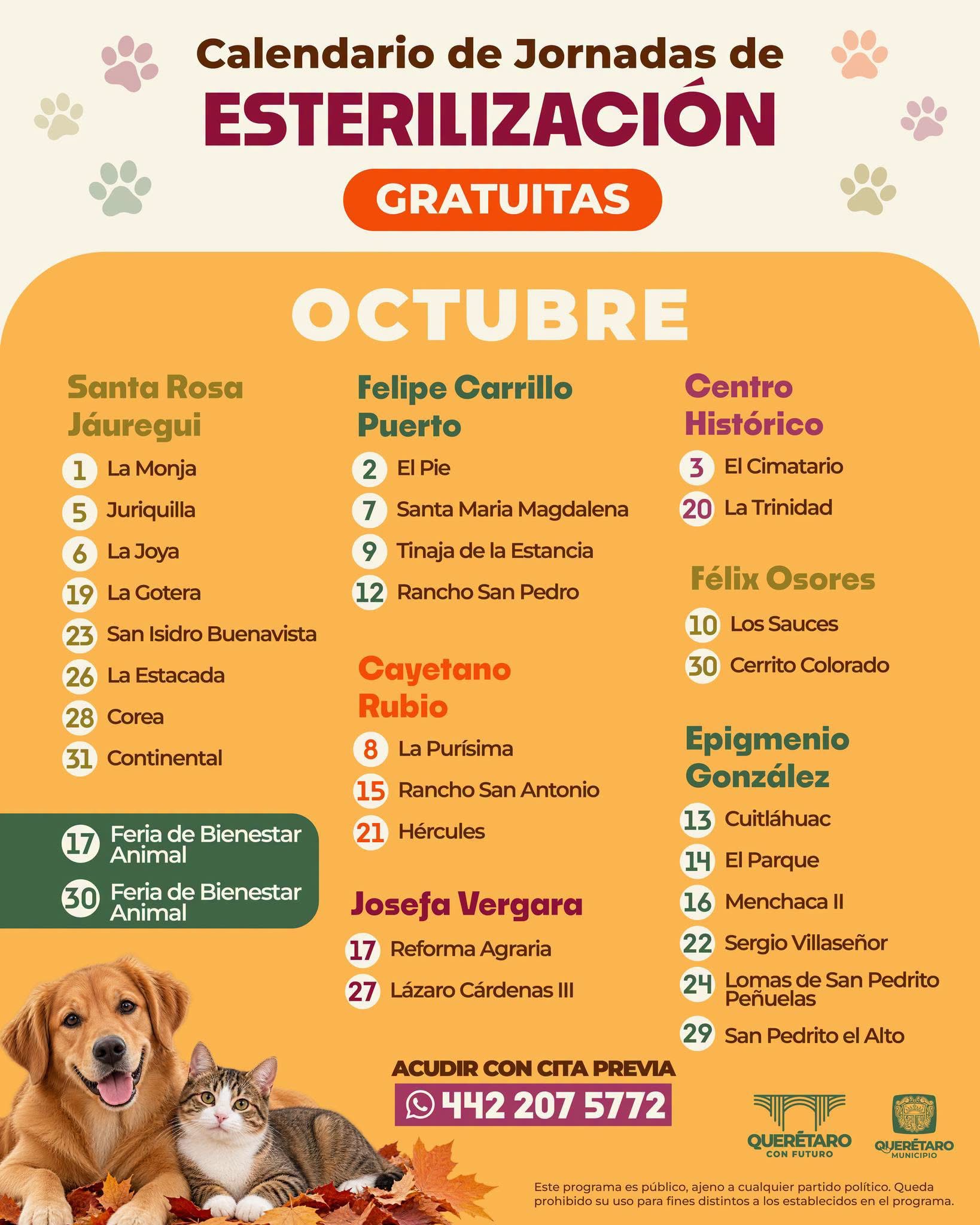 Municipio de Querétaro anuncia jornadas gratuitas de esterilización durante octubre