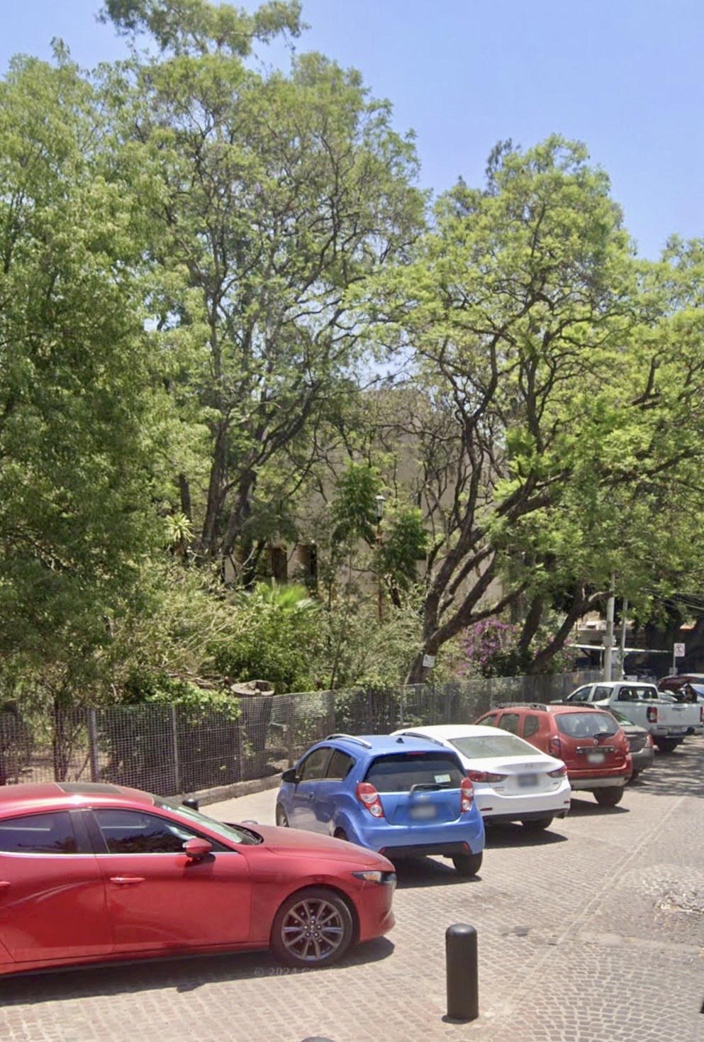 Acuerdan privilegiar trasplantes de árboles en el polígono de las obras del tren México-Querétaro